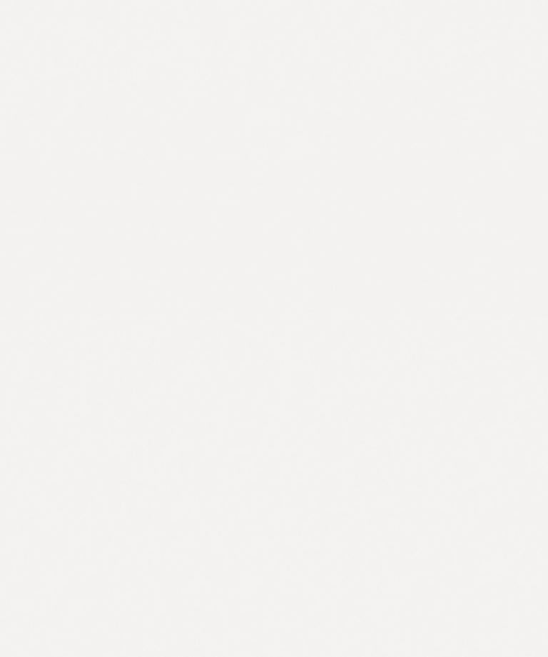 Cucina Delizia 365 cm promo 25 Leone Tortora opaco e Bianco opaco